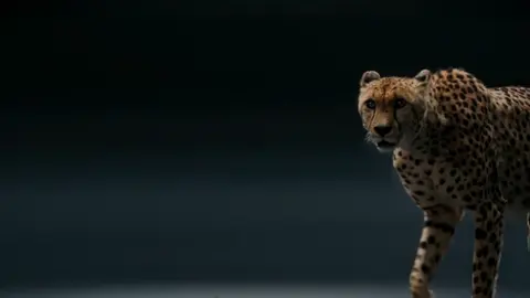 AICP Award 2023<br />
Sennheiser